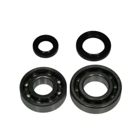 Csapágy+szimering klt.főtengelyhez sepia