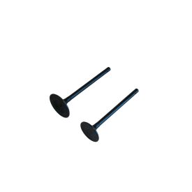 Szelep grt. quad250 d:5.5 mm l:89.5 mm