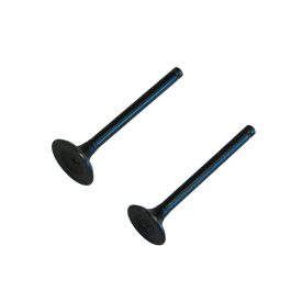 Szelep grt. 4t 100cmm d:5mm l:66mm