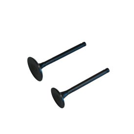 Szelep grt. 4t 150cmm d:5mm l:66mm