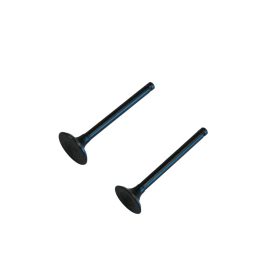 Szelep grt. quad110 d:5 mm l:65 mm