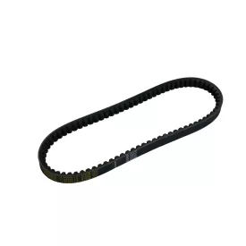 Bordásszíj ciak100,f12 100 17.8x823 /ékszíj/