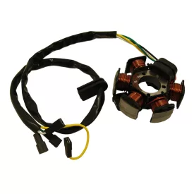   Gyújtás alaplap komplett, 6 pólusú, 116.8 mm, Ducati, Aprilia, Derbi