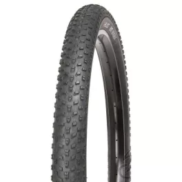 Fatbike