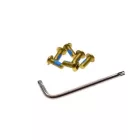 Torx csavar és csavarkulcs (arany)