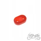 Hátsó lámpa, fényszóró, betét, felfogató, konzol, XIAOMI M365/PRO