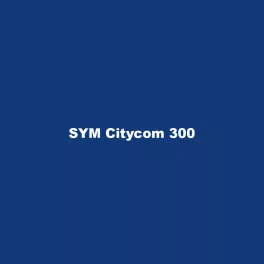 SYM Citycom 300