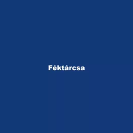 Féktárcsa