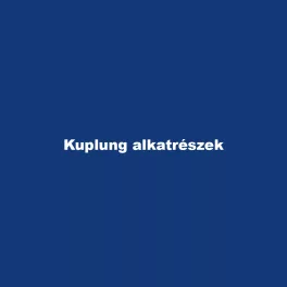 Kuplung alkatrészek