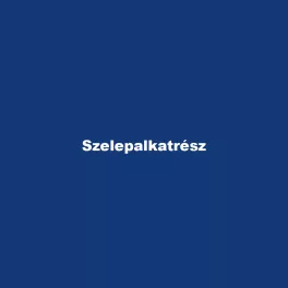 Szelepalkatrész