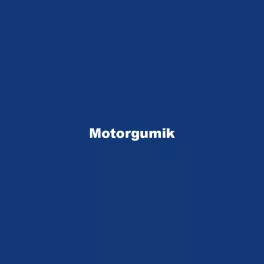 Motorgumik