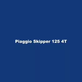 Piaggio Skipper 125 4T
