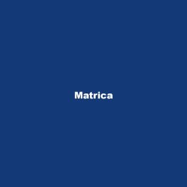 Matrica