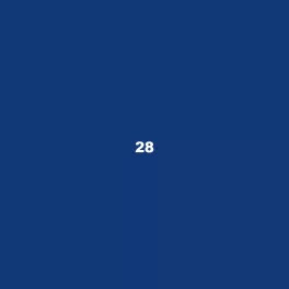 28