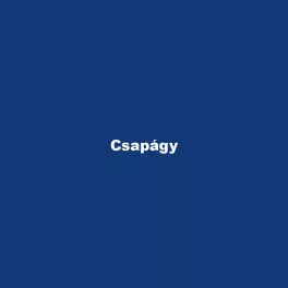 Csapágy