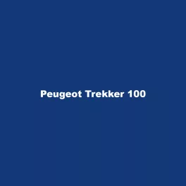 Peugeot Trekker 100