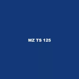 MZ TS 125