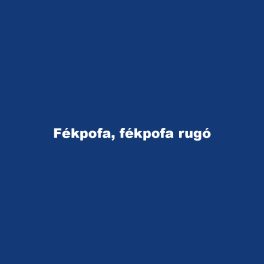 Fékpofa, fékpofa rugó