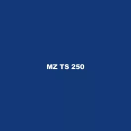 MZ TS 250