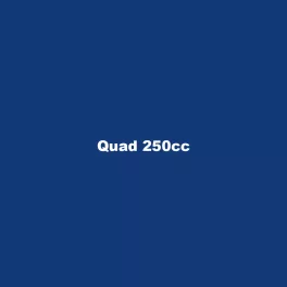 Quad 250cc