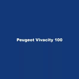 Peugeot Vivacity 100