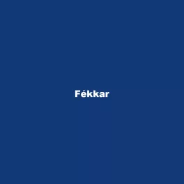 Fékkar