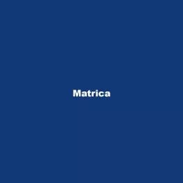 Matrica