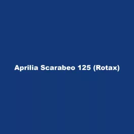 Aprilia Scarabeo 125 (Rotax)