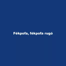 Fékpofa, fékpofa rugó