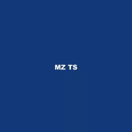 MZ TS