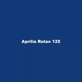 Aprilia Rotax 125