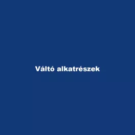 Váltó alkatrészek