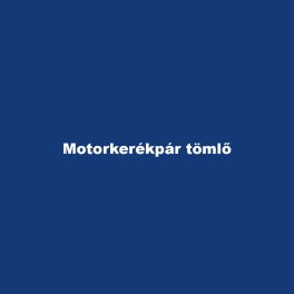 Motorkerékpár tömlő