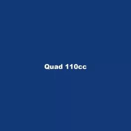 Quad 110cc