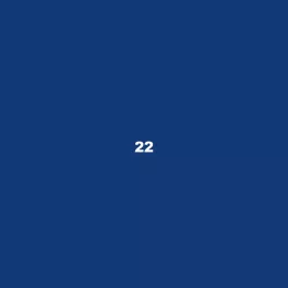 22