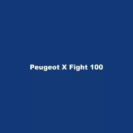 Peugeot X Fight 100